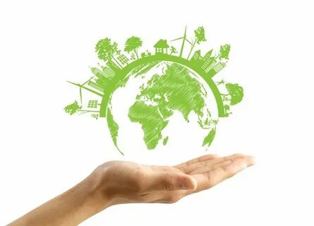 Ecological environment
