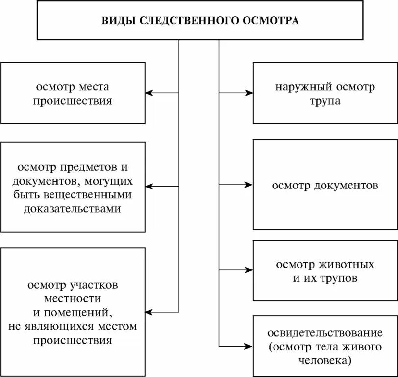Действия следователя при осмотре места