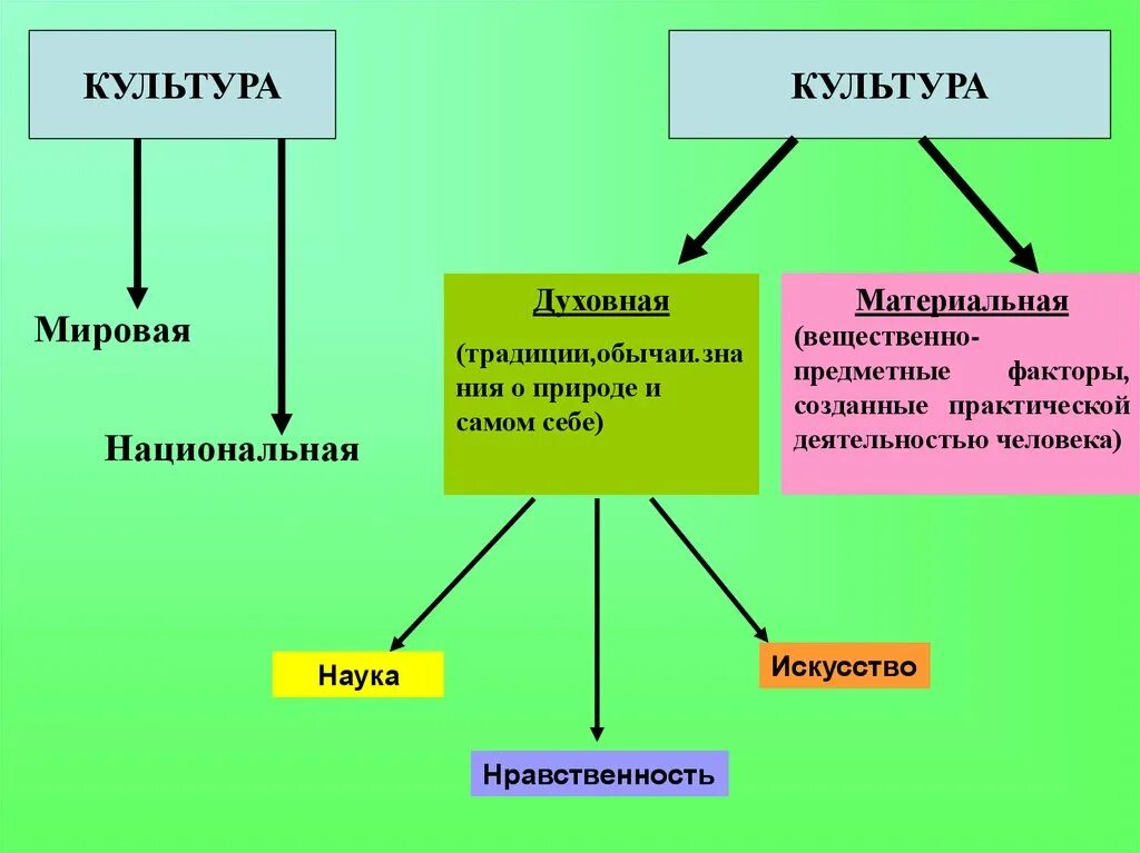 Какие области духовной культуры вы знаете. Материальная и духовная культура. Виды культуры материальная и духовная. Культура делится на. Культура бывает.