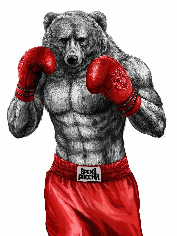 Рефери в боксе. Боксерский фон. Боксер спортсмен. Ринг фото. Roll with the punches.