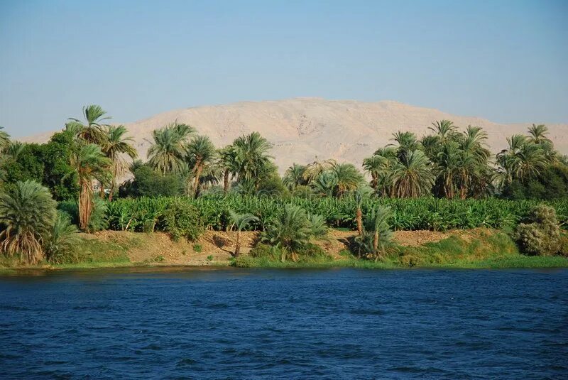 The nile river one of the. The nile river one of the