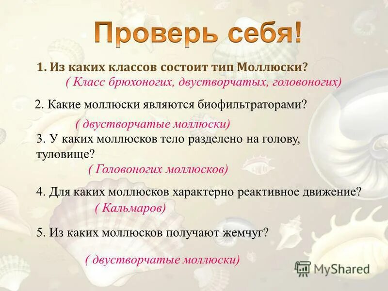 для каких моллюсков характерно реактивное движение. реактивное движение в природе. офиуры тип класс.