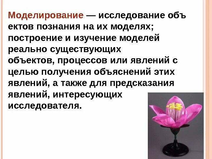 Моделирование какой метод исследования. Метод моделирования в биологии. метод изучения биологии моделирование. моделирование метод исследования в биологии. методы исследования в биологии моделирование.