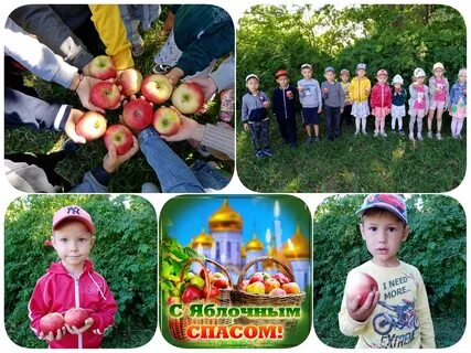 Спасти спас программа