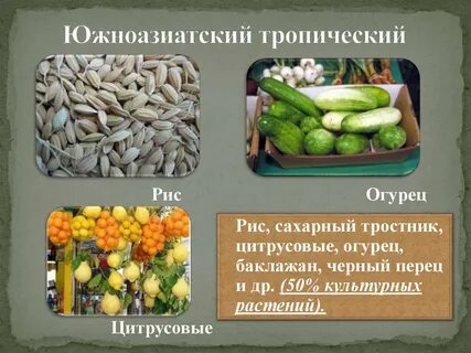 Южноазиатский тропический растения