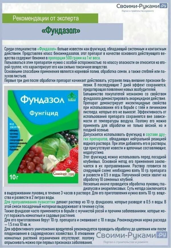 Фунгициды применение. Препарат фундазол. Фунгицидами топаз и фундазол.. Фундазол норма расхода. Фундазол фунгицид.