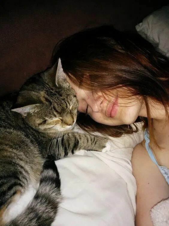 Коты любят хозяек. Коты любят хозяек