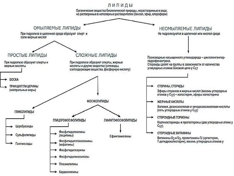 Углеводы липиды строение. Липиды классификация липидов омыляемые липиды. Классификация, строение и свойства простых и сложных липидов. Классификация липидов органическая химия. Схема строения липидов.