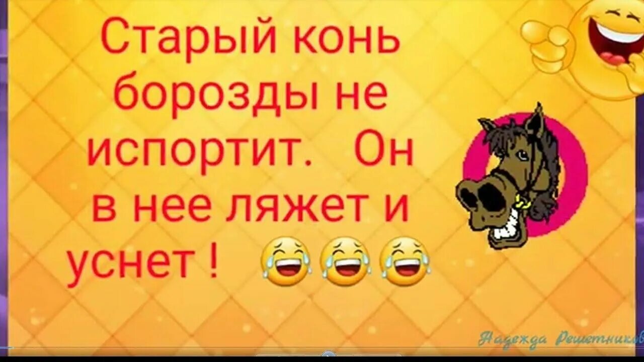 Года не портят. Старый конь борозды не испортит. Пословица старый конь. Пословица старый конь борозды не испортит.