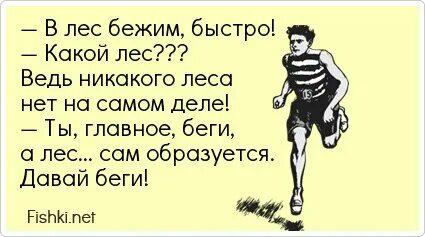 Беги лес беги