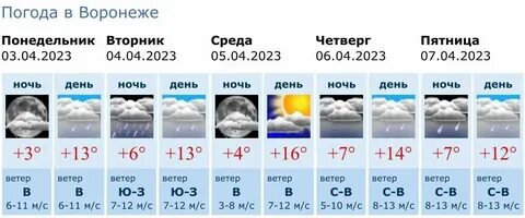 Погода на ноябрь 2024 воронеж
