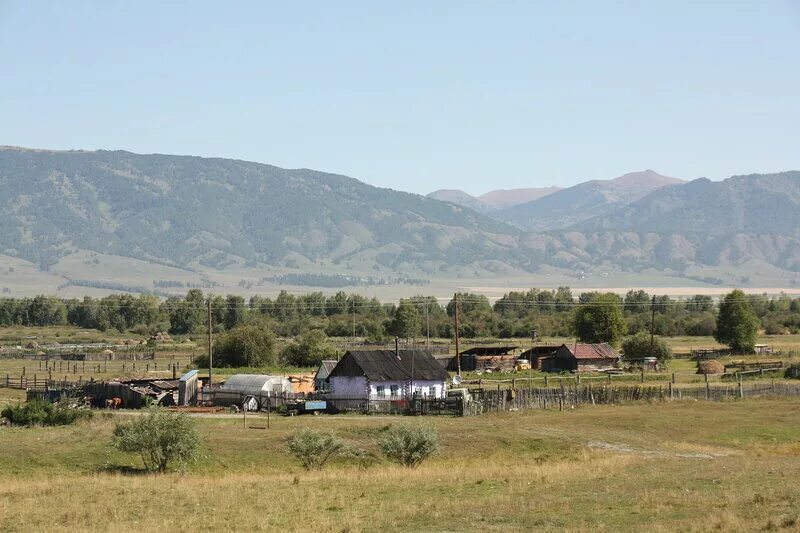 Погода в верх уймоне. Уймонская Долина на Алтае. Верхний Уймон Республика Алтай. Нижний Уймон Республика Алтай. Уймонская Долина на Алтае верхний Уймон.