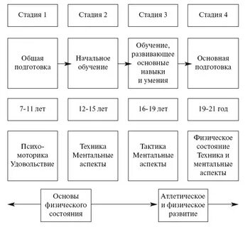 Перечислить этапы спортивной