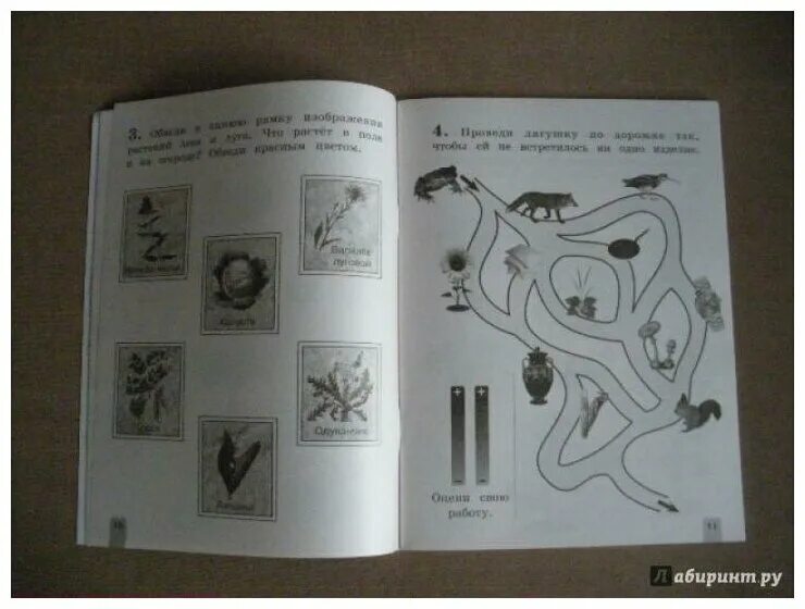 окружающий мир 2 класс чудинова букварева ответы. окружающий мир 1 класс е. букварева. н. , букварева е.