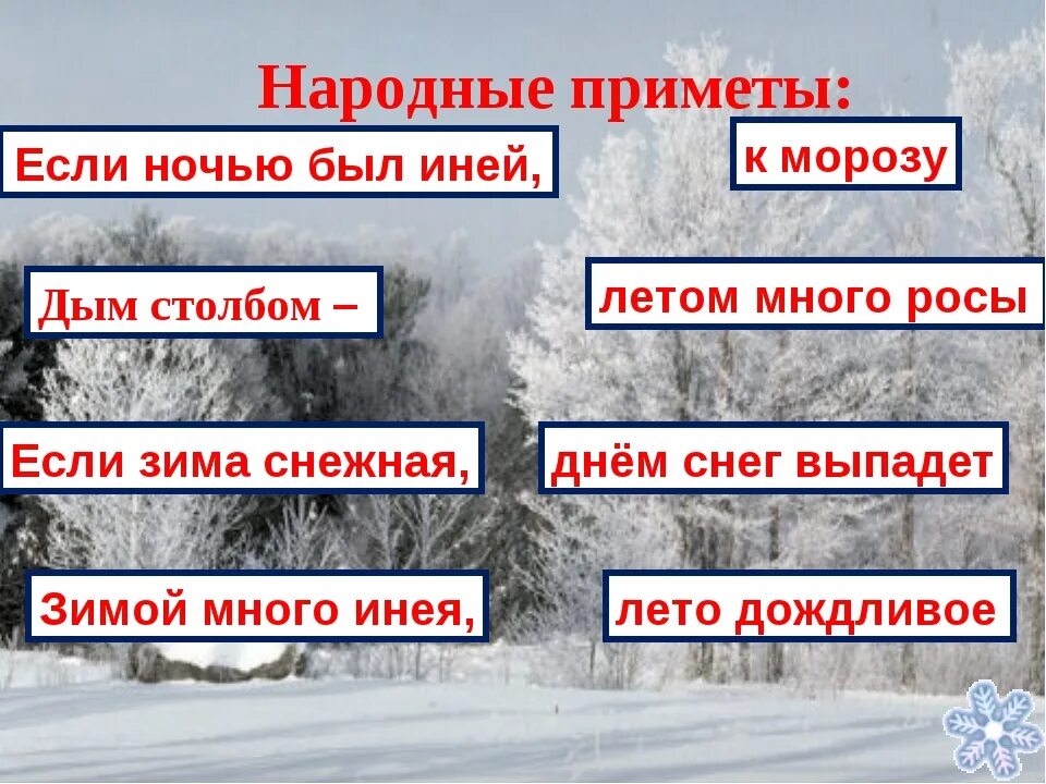 Погода декабрь приметы. Народные приметы о зиме. Зимние приметы в природе. Русские народные зимние приметы. 2 Приметы о зиме.