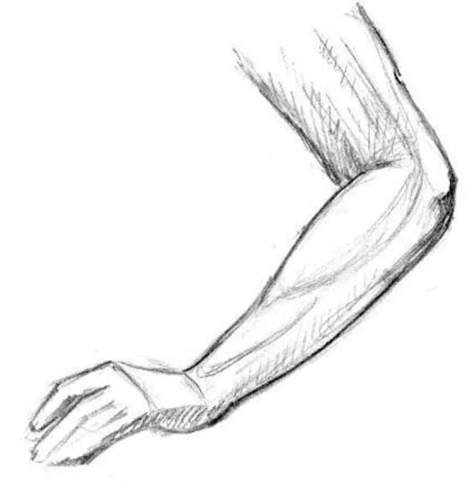 Согнутая рука. Рука полностью набросок. Согнутая рука нарисовать.