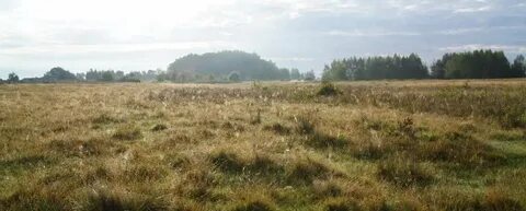 Погода в староновицкой на неделю
