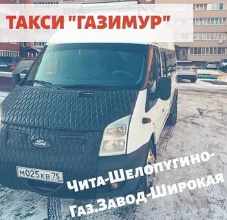 Номер муравья чита