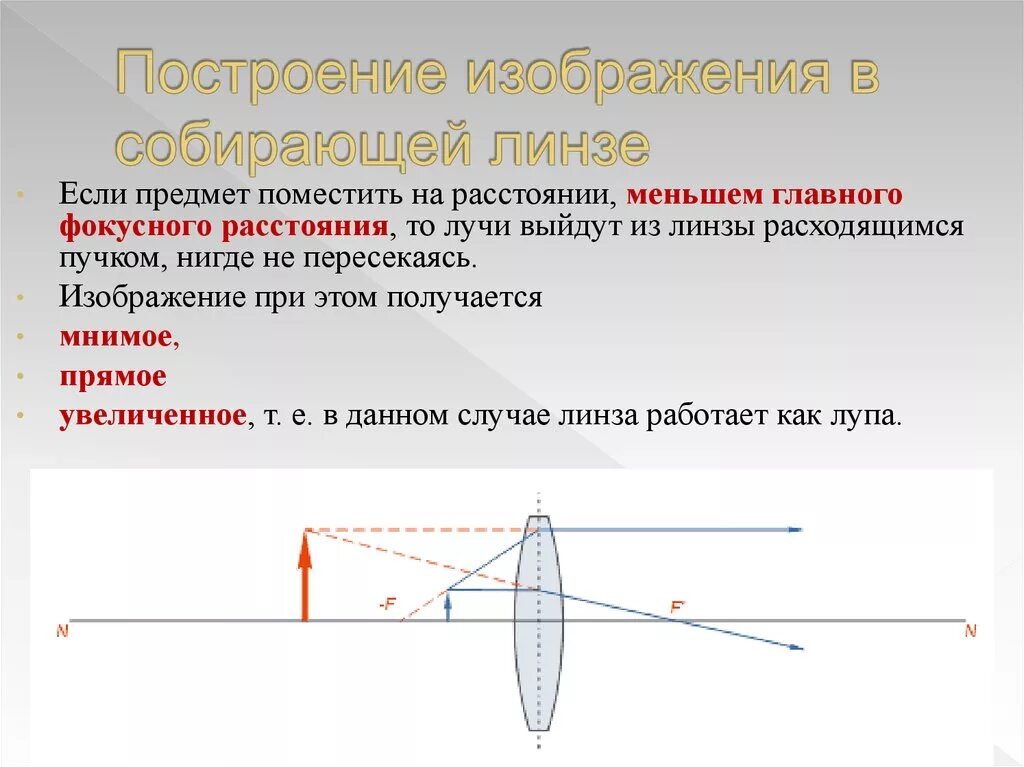 Собирающая линза в качестве лупы дает