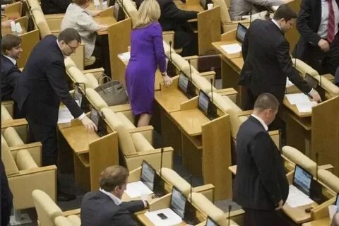 Проголосовать за депутата государственной думы