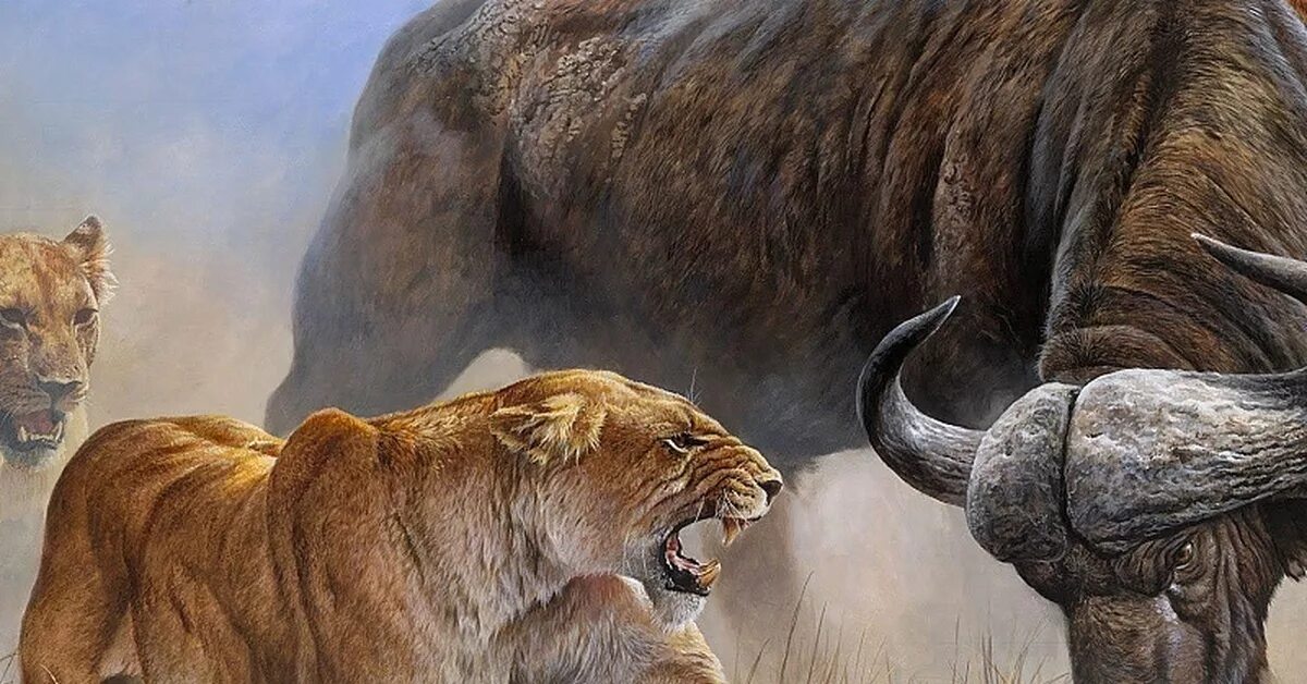 тигровая рыба голиаф. мужчина рыба тигр. мужчина рыба тигр. рыба тигр женщина. альбион все виды рыб.