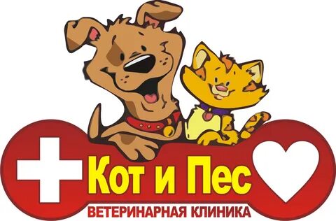 Кот и пес контакты