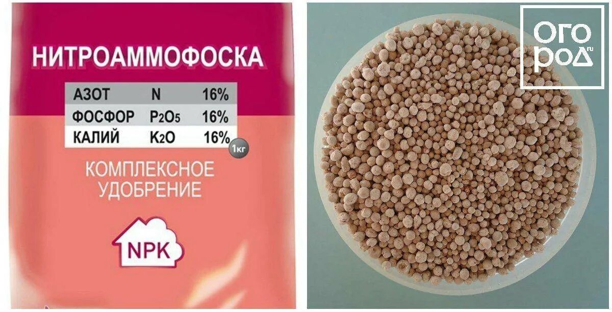 Нитроаммофоска удобрение применение на огороде. Нитроаммофоска 161616. Удобрение Нитроаммофоска 1.0кг. Нитроаммофоска удобрение 16:16:16. Азофоска Нитроаммофоска.