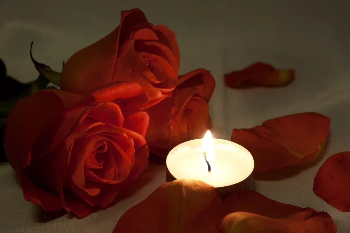 Цветы и свечи. Романтические цветы. Розы и свечи. Цветы вечер.