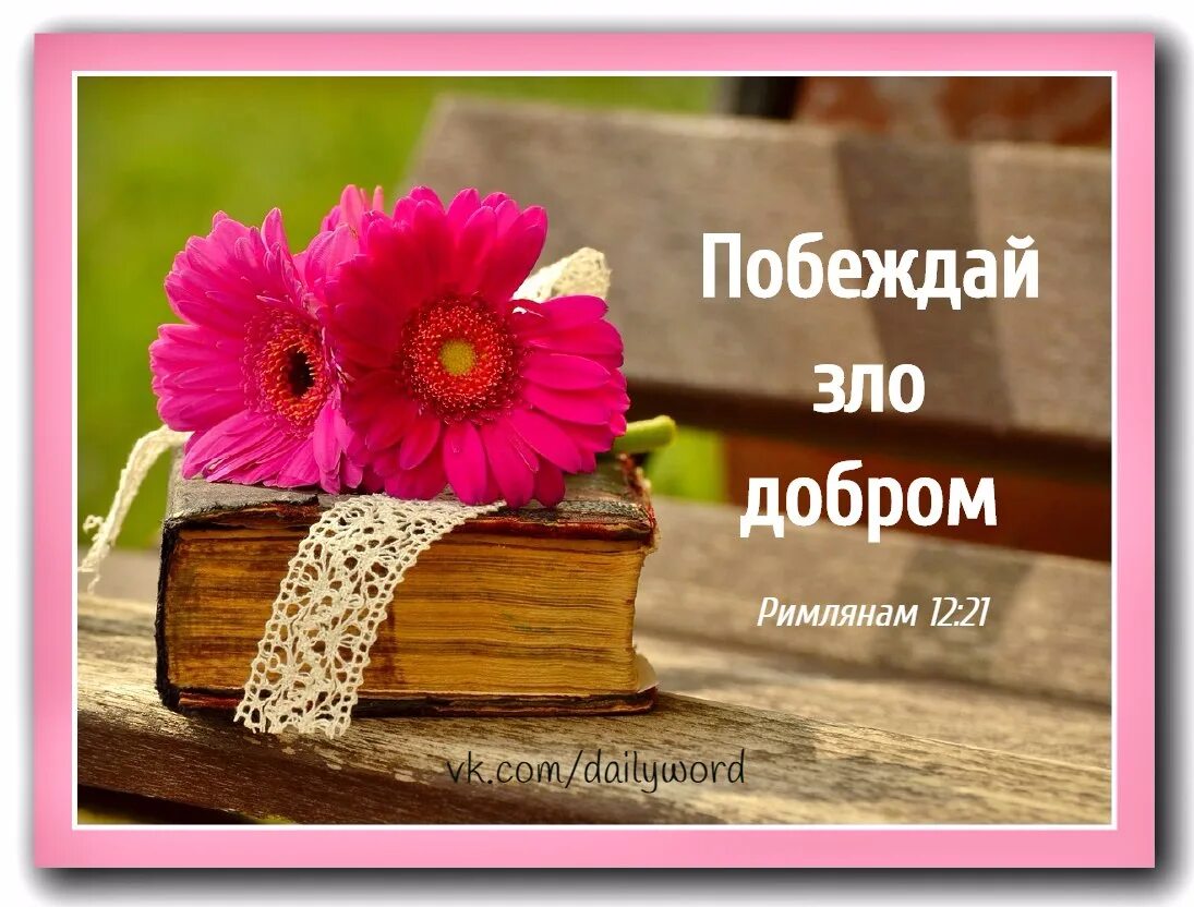 Воздающие злом за добро. Побеждай зло добром. побеждать зло добром. не воздавайте злом за зло но побеждайте зло добром. побеждай зло добром библия.