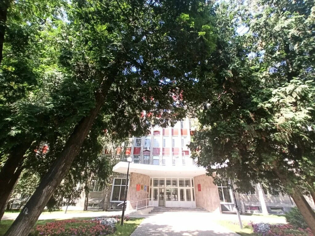 Управа центрального района воронеж. Администрация городского округа город воронеж. Ленинский проспект 93 воронеж. Управа левобережного района. Администрация центрального района г воронежа.