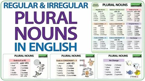 Plural Nouns In English Regular Irregular Plurals on Irregular Plural Nouns Work