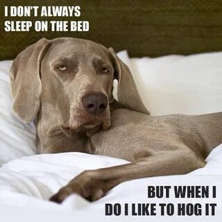 Always sleeping
