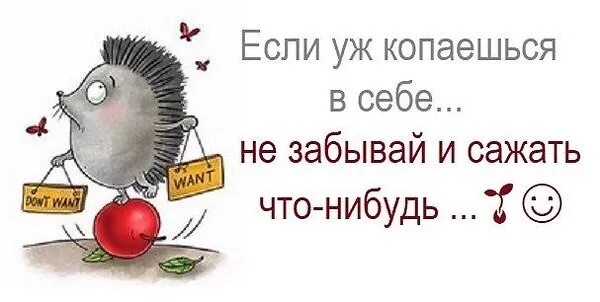 Посадить что нибудь