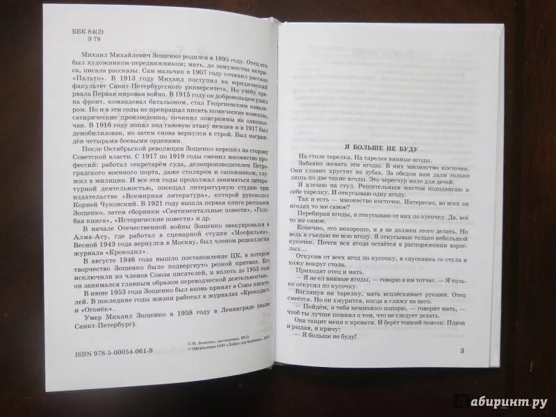 Книга Зощенко Колдун. Рассказ Михаила Зощенко Колдун читать. Рассказ Колдун Зощенко. Зощенко Колдун пересказ краткий пересказ. Зощенко колдун читательский дневник