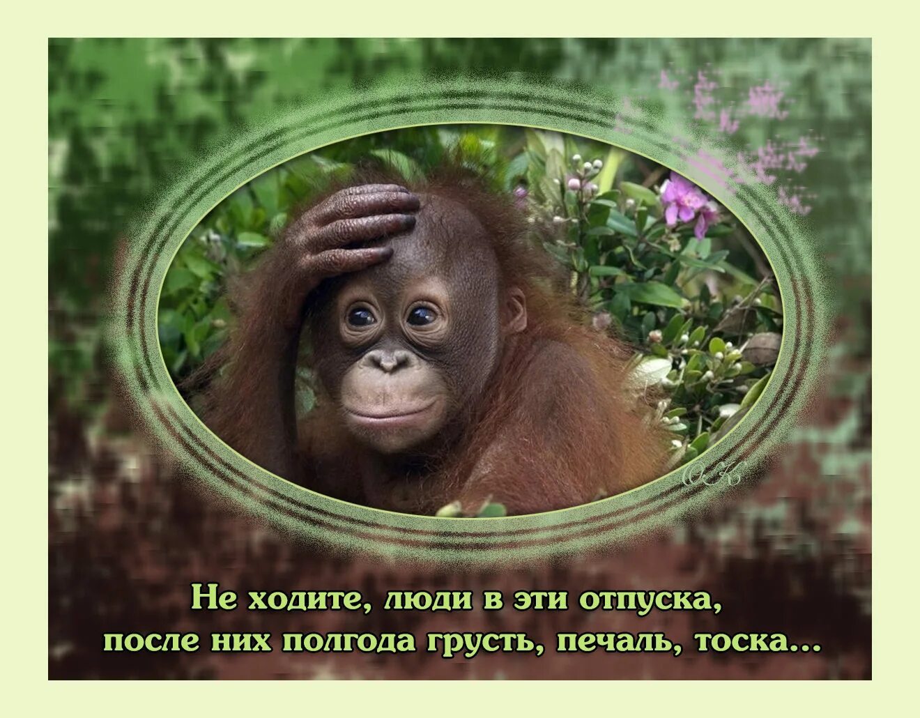 Первый день послеотпускп. Первый день рослеотпуска. 1 день работы после отпуска. На работу после отпуска. На работу после отпуска картинки.