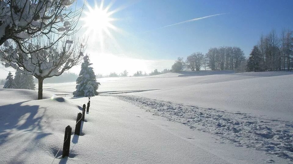 Зимний пейзаж. Вьюга. Все пути дороженьки снегом минус. Все пути дороженьки снегом минус. Замело снегом.