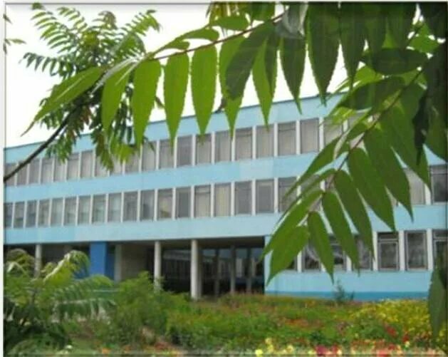 Сш 8 солигорск. Сш 8 солигорск. Солигорск 8 школа. Сш 8 солигорск. Сш 8 солигорск.