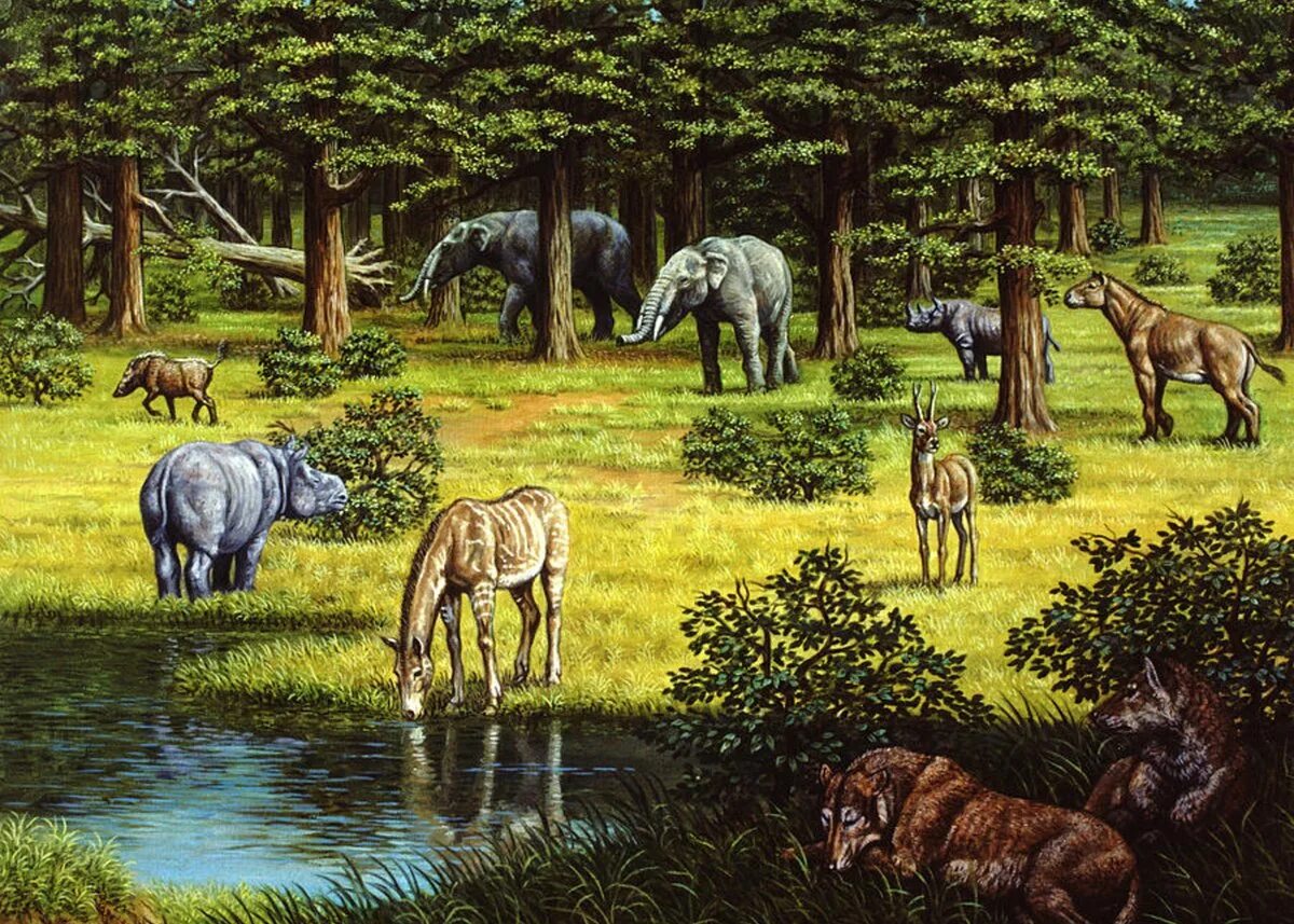 Индрикотерий зденек буриан. Эра кайнозой антропоген. Кайнозойская эра палеоген. Кайнозойская эра неоген. Растения кайнозойской эры периода палеогена.