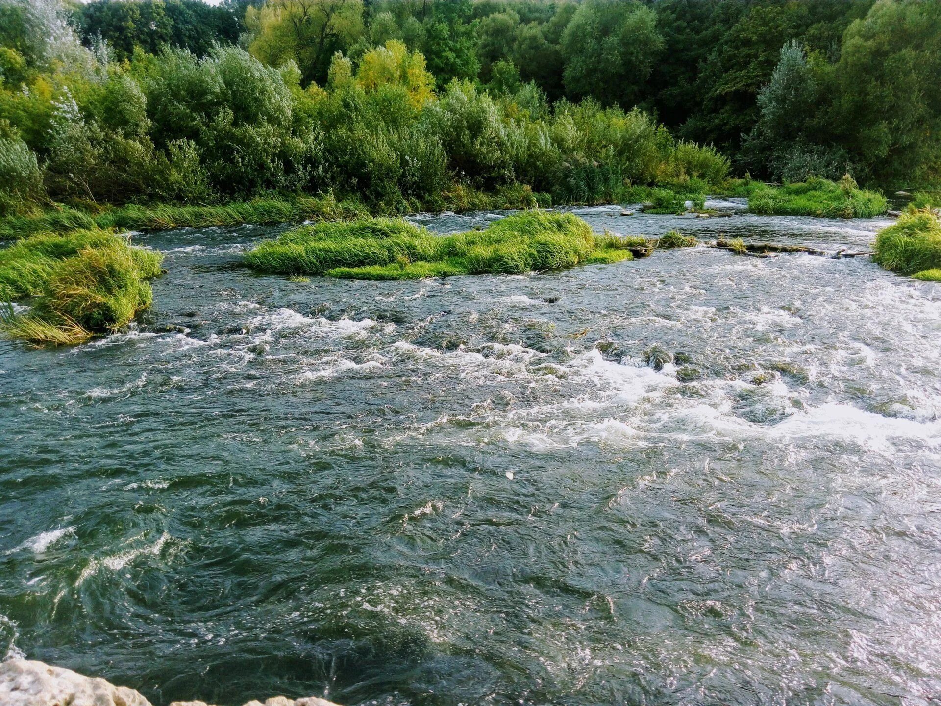 Дон горная река. Кураповские скалы в липецкой области. кураповские скалы лебедянский район. красивая меча липецкая область. река красивая меча липецкая область.