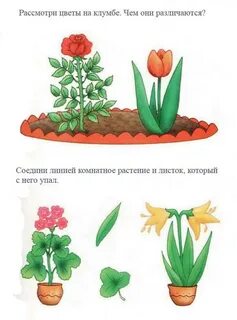 Цветочная задача