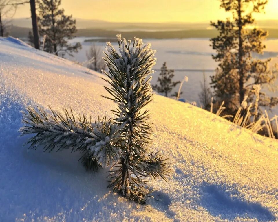 Под конец декабря. С началом зимы. Зима декабрь. Февраль метель город. С началом зимы.