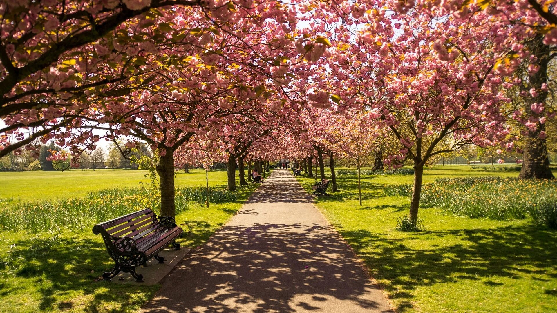 Hyde Park лавочки. Парк лавочка Англия. Весенний парк. Красивый парк. Natural spring