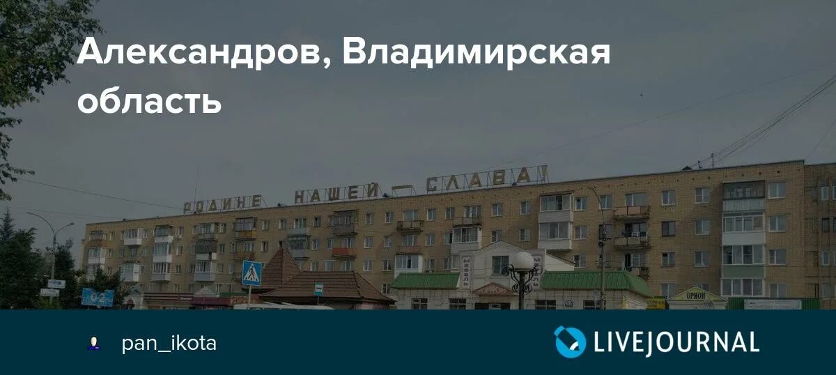 Врачи александрова владимирской области. Родине нашей Слава Александров. Александров Владимирская область программирование. Рынок Александров Владимирская область. Ветклиники в Александрове Владимирской области.