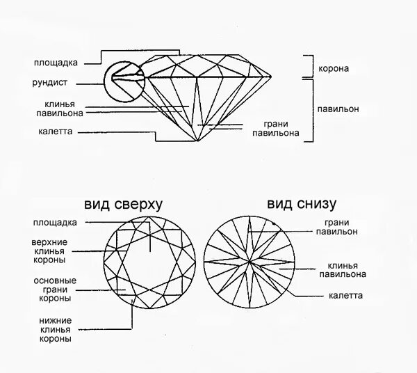 Огранка камня Рундист. Схема огранки камня Рундист. Калетта Рундист. Элементы огранки круглого бриллианта.