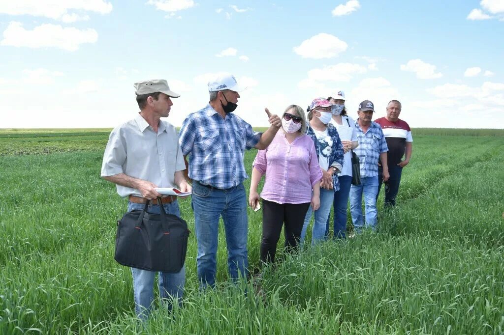 Шестаево давлекановский район. Аэрокосмическая школа в башкирии. Ленинский давлекановский район. Шестаевский сельсовет давлекановский район. Александровка давлекановский район.