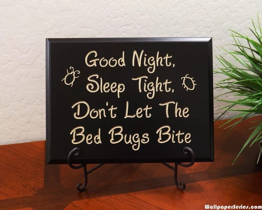 Best better sleep. Good Night Sleep. Sleep tight. Good Night Sleep tight game. Sleep tight don't Let the Bedbugs bite.