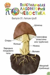 Пластилиновый чевостик