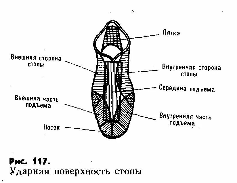 Удары подъемом стопы. Внутренняя сторона стопы. Внешняя сторона стопы. Части стопы в футболе. Внутренняя и внешняя часть стопы.