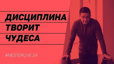 Дисциплина видео