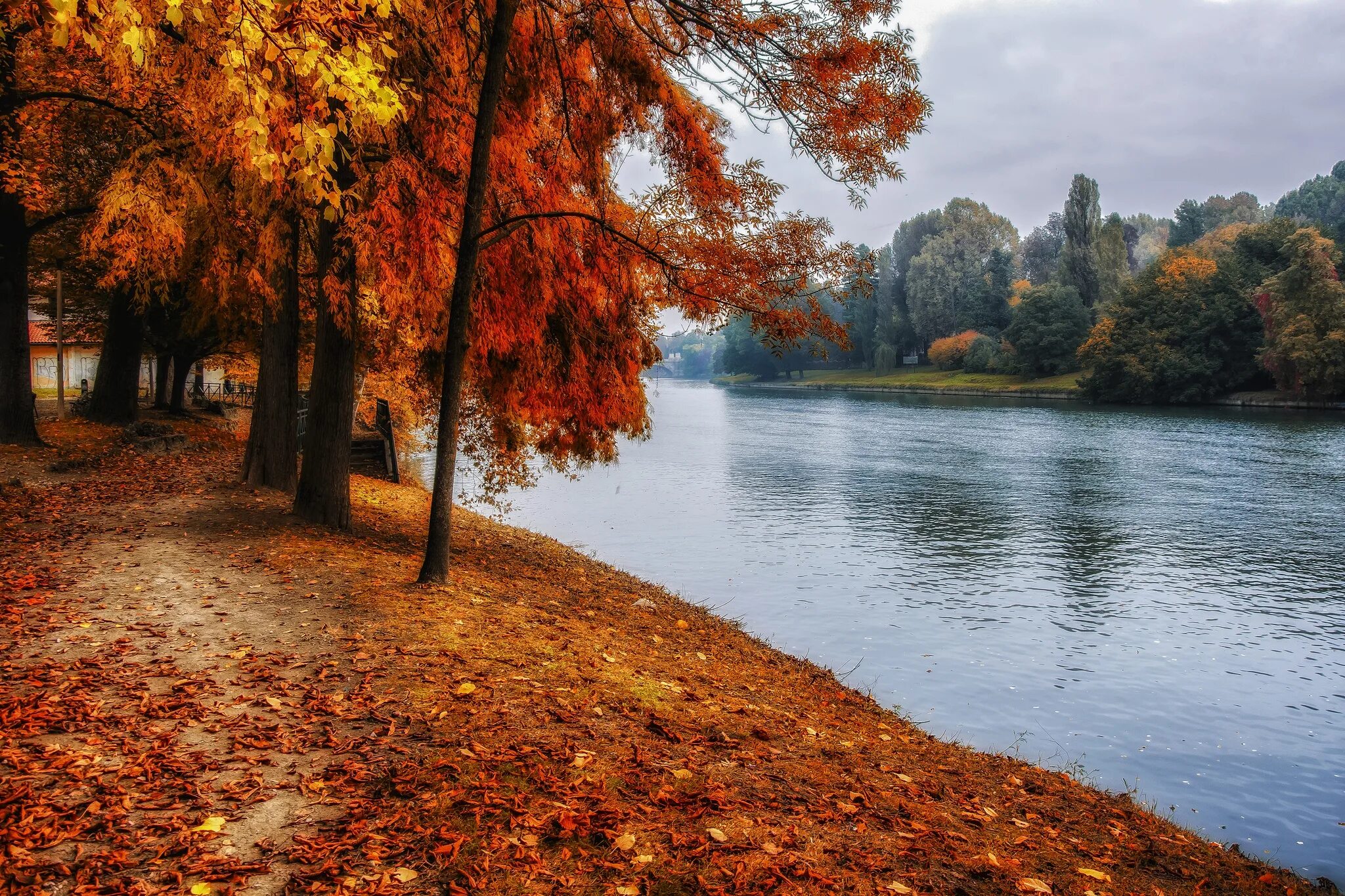 Осенние картинки. Пейзаж осени. Осень речка. Осенний пейзаж с кленом. Осенний пейзаж у реки.
